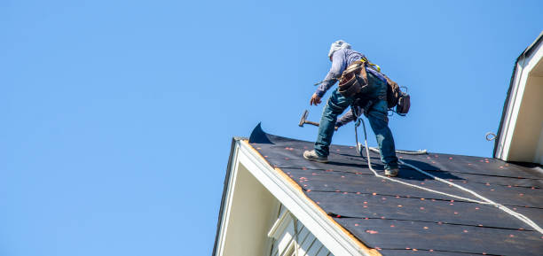 Best Gutter Installation and Roofing  in Mathews, VA
